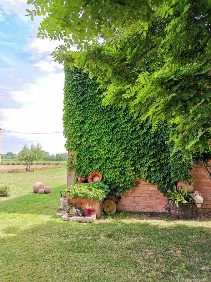 Гостевой дом Mas Horta Prim Сант-Педро-Пескадор Экстерьер фото
